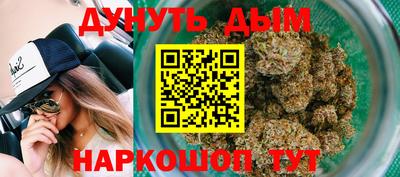 гидра Владикавказ