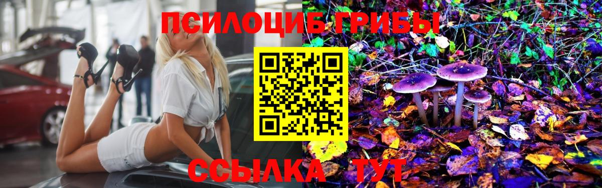 Галлюциногенные грибы прущие грибы Волгоград