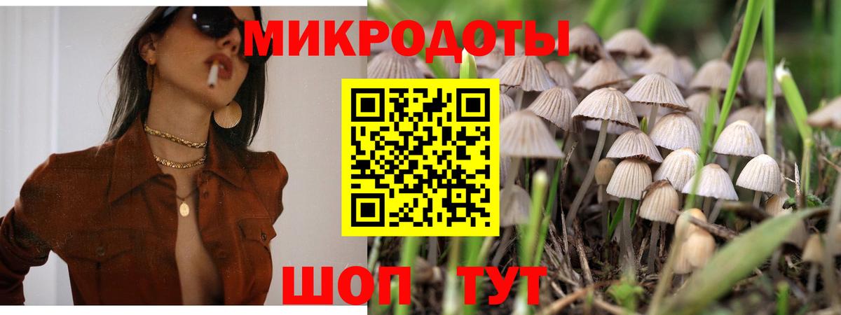 Галлюциногенные грибы Magic Shrooms  цены   Волгоград  Вход с VPN 